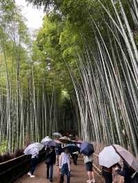 【細心欣賞大阪嵐山】三個推介景點🇯🇵