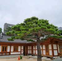 Hidden Zen Oasis in Seoul 