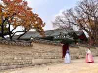 🍁 Seoul Beautiful in Fall 🍁