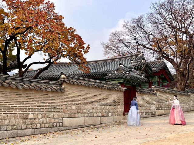🍁 Seoul Beautiful in Fall 🍁