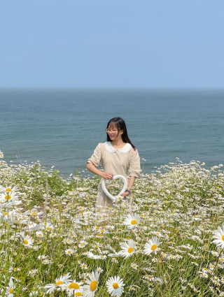 大海和雛菊。我喜歡的東西🌊🌼🤍