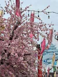 ตลาดปลา บางแสน 🇯🇵🏯