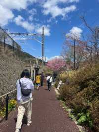 Narai-Juku เมืองเก่าในจังหวัด Nagano🇯🇵