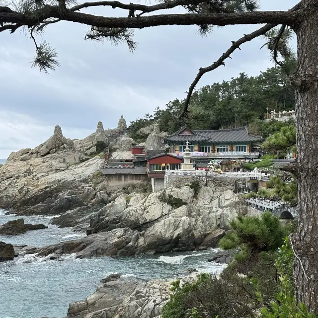 The Most Beautiful Temple in Korea 