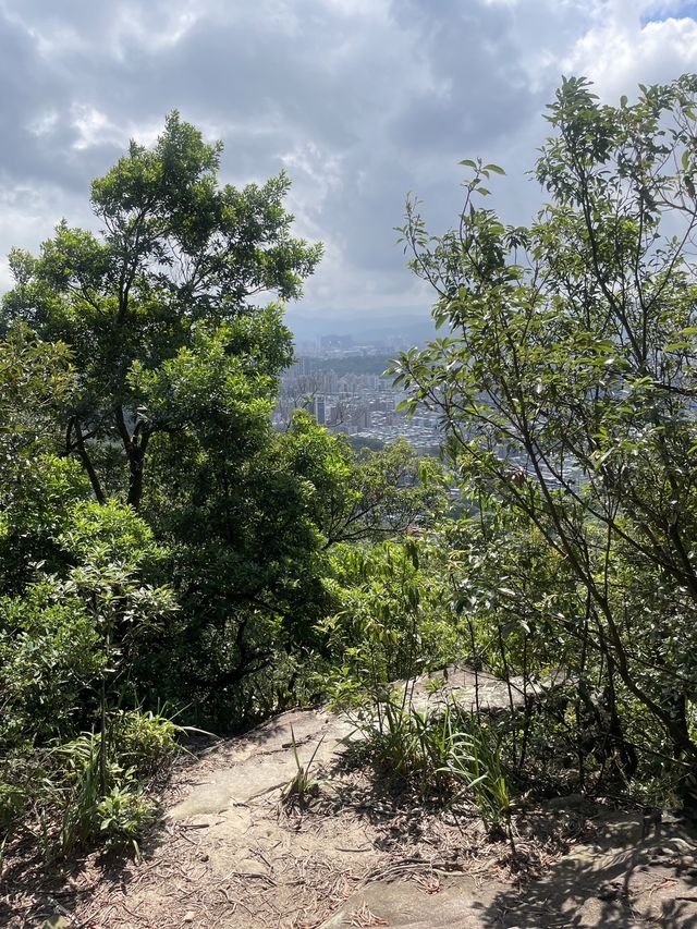 台北市｜內湖區｜金面山步道