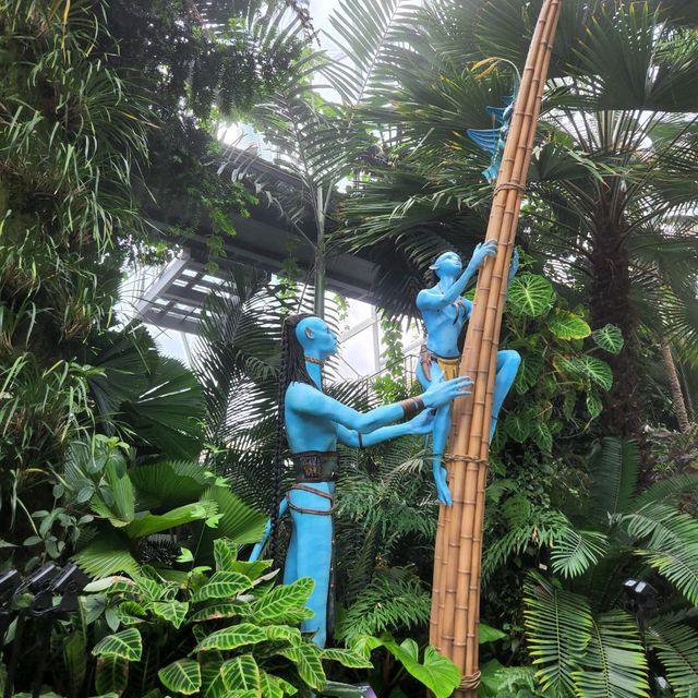 Cloud Forest Avatar