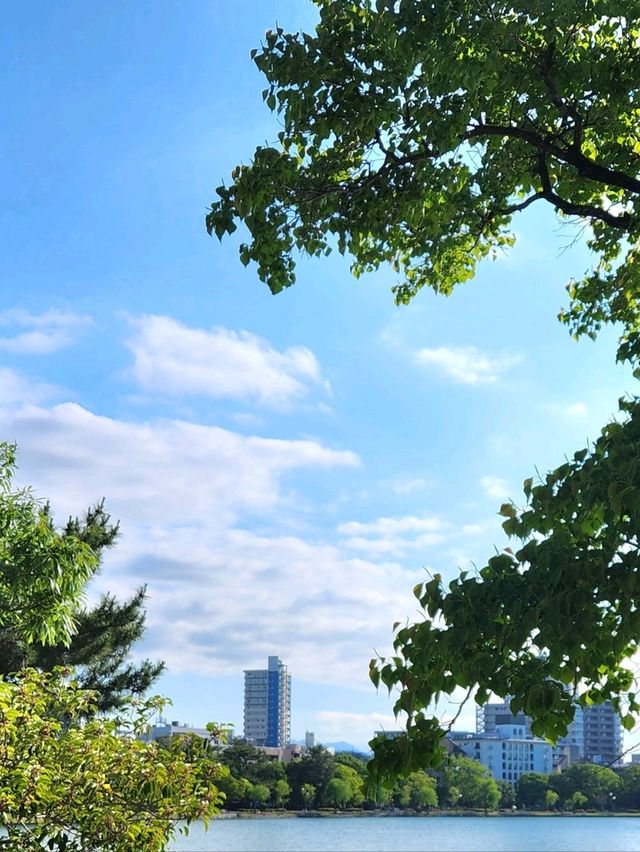 후쿠오카 시내 힐링장소 🌿 오호리공원