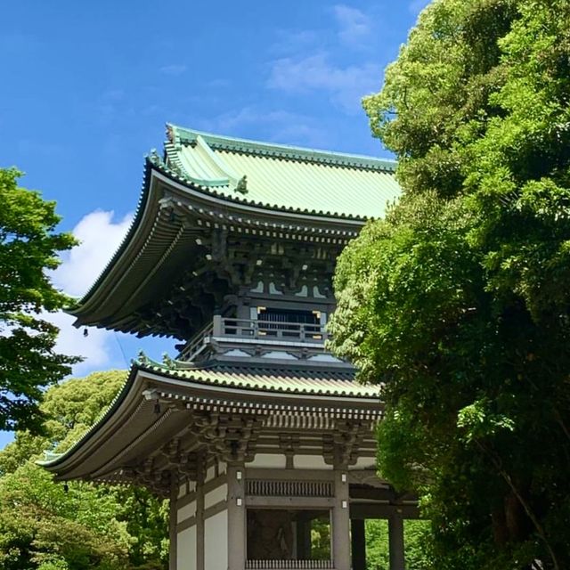 🎋 장엄하고 포스가 넘치는 요코하마의 사찰, 소지지를 여행해보세요✨