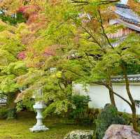 Tofuku-ji Rikkyoku-an: Zen Serenity