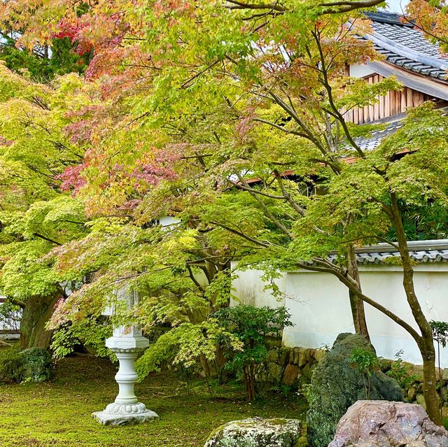 Tofuku-ji Rikkyoku-an: Zen Serenity