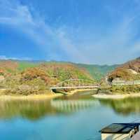 夢のかけ橋