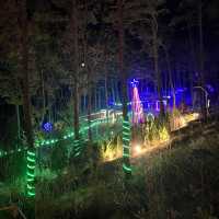 Magic After Dark at Forest of Light Garden
