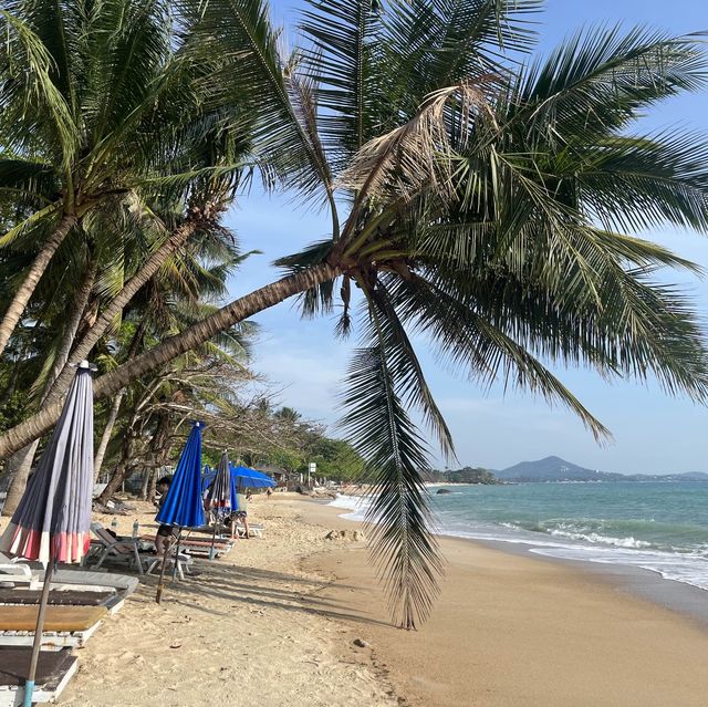 Koh Samui - romantic jewel in the tropic🇹🇭