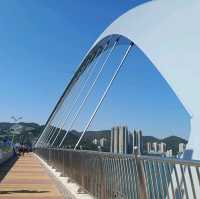 Seaside - The Double-Arch Cross Bay Link