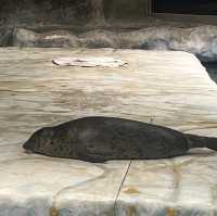 海洋公園：北極之旅