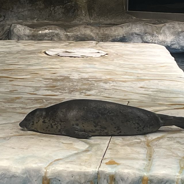 海洋公園：北極之旅