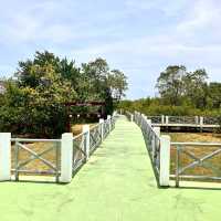 The Natural Trail