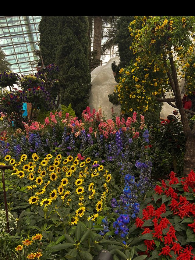 Extraordinary Flower Field