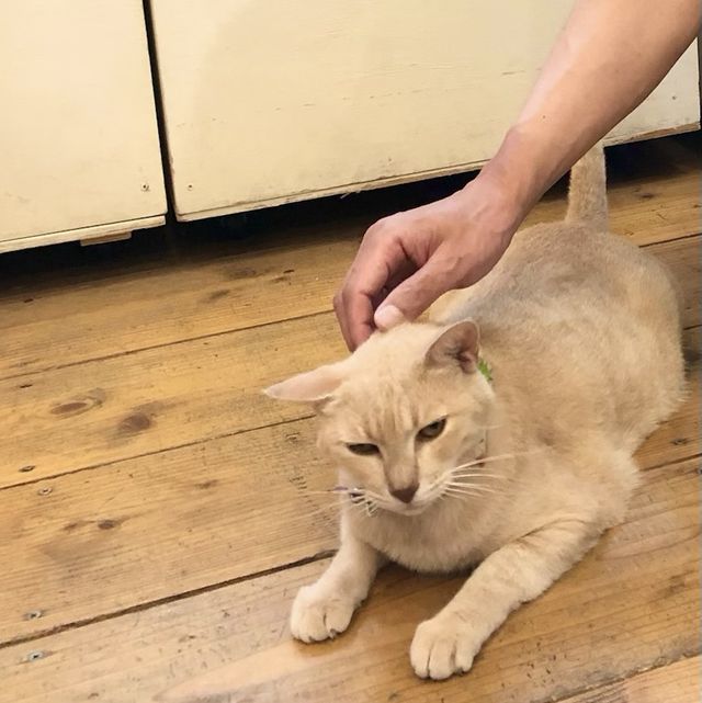 かわいいお土産いっぱい♪【牧志公設市場エリア】那覇