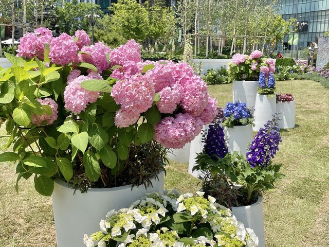 잠실에 나타난 베르테르의 정원🌹💕