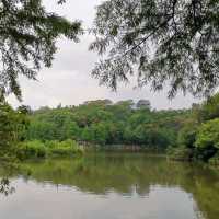 仙湖植物園