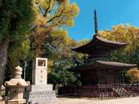 ศาลเจ้าจิริว 知立神社🏯