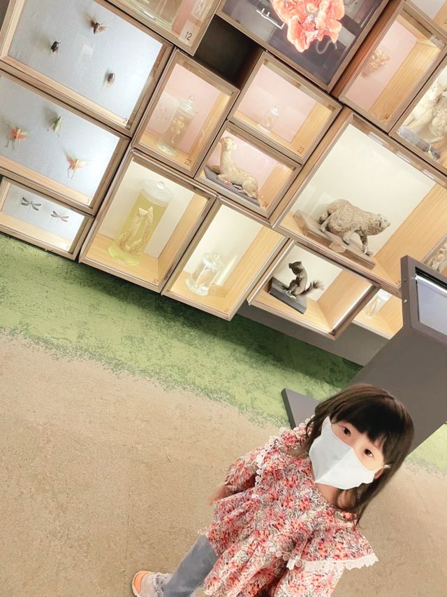 國立台灣博物館｜氣派輝煌的古建築