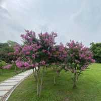 【城市中的巨大綠洲：深圳灣公園】
