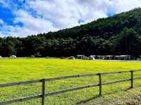 富士山が見えるキャンプ場で至福の体験を🌿🏕️