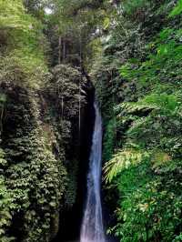 Beautiful Waterfall Surrounded By Jungle⁉️🏞️