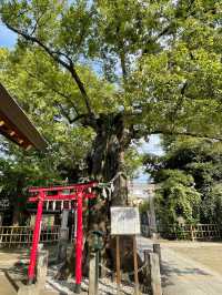 【東京都/新田神社】破魔矢発祥の地、巨大な破魔矢がある神社