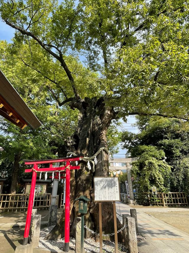 【東京都/新田神社】破魔矢発祥の地、巨大な破魔矢がある神社