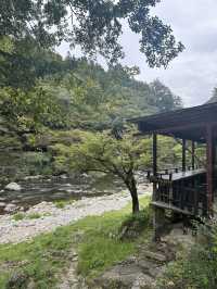 《愛知旅行》 おすすめ観光スポット🚩香嵐渓!