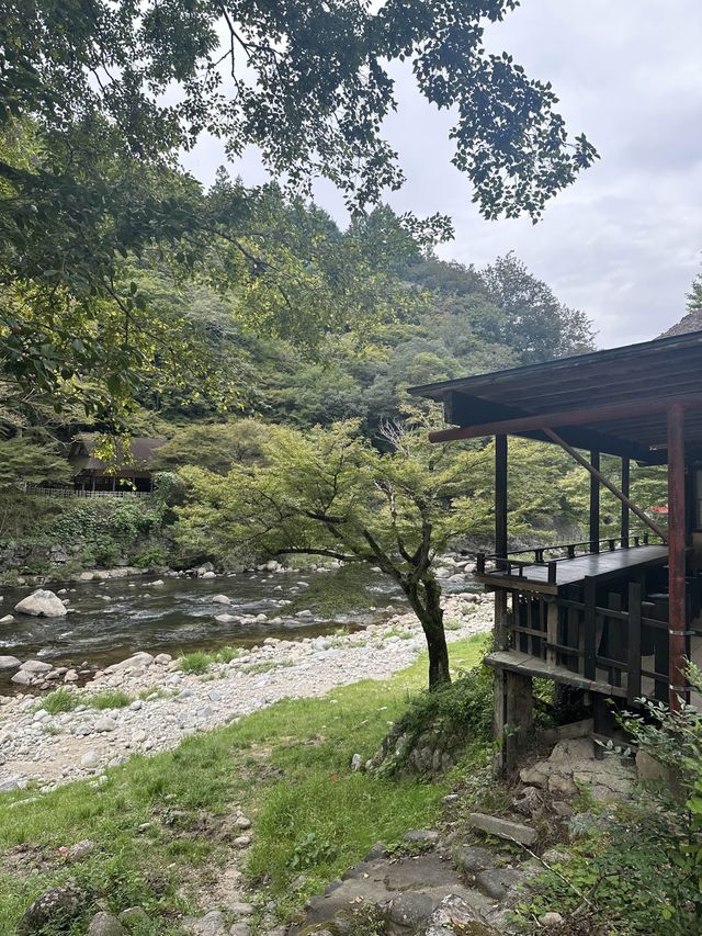 《愛知旅行》 おすすめ観光スポット🚩香嵐渓!