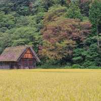 日本版童話小鎮-白川鄉合掌村