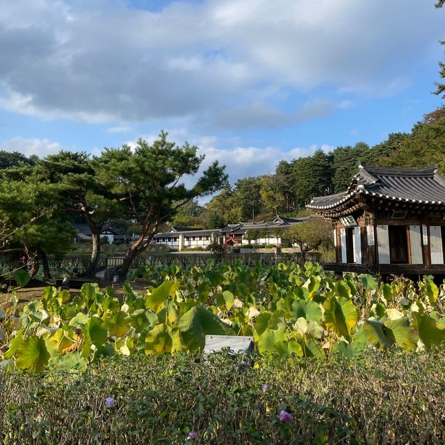  강릉 시내 데이트 가볼만한곳 강릉 선교장