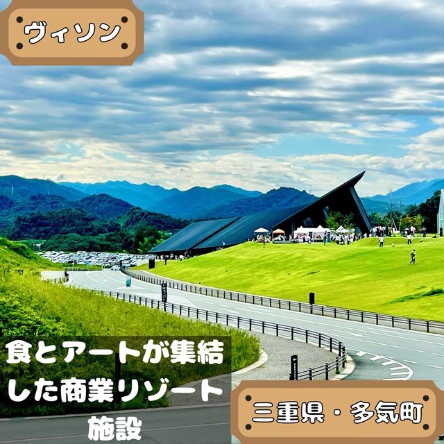 ヴィソン