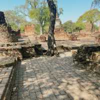 วัดพระศรีสรรเพชญ์