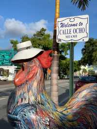 Experience Cuban Culture on Calle 8 
