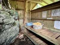 【絶景】無料で入れる男女混浴の秘境温泉♨️
