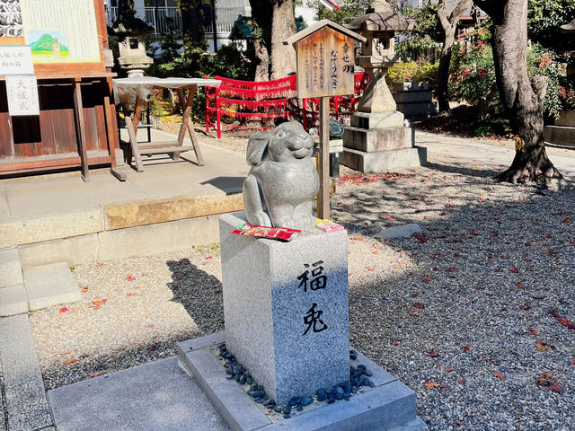 名古屋 帶來幸運的兔兔神社⛩️