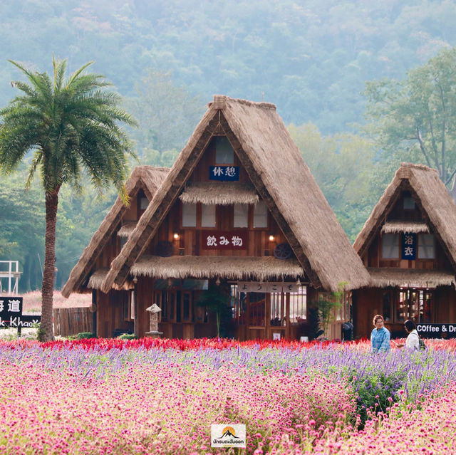 Hokkaido Flower Park Khaoyai
