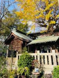 【東京都/於咲稲荷神社・波除稲荷神社】2023年行ってよかった！東京都の神社⑦