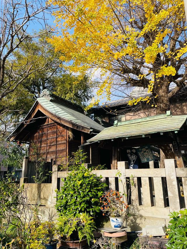 【東京都/於咲稲荷神社・波除稲荷神社】2023年行ってよかった！東京都の神社⑦