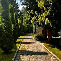 NATIONAL SYMBOL OF BULGARIA!!