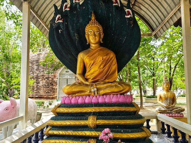 วัดไผ่โรงวัว  จ.สุพรรณบุรี