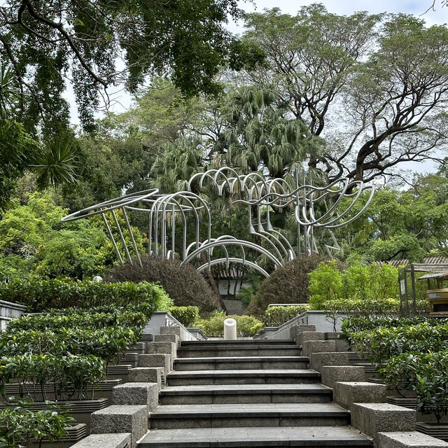 홍콩 구룡공원에서 즐기는 자연 속에서의 힐링 🌴