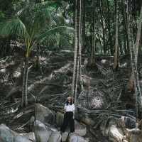 Banana Beach หาดลับ ที่ภูเก็ต