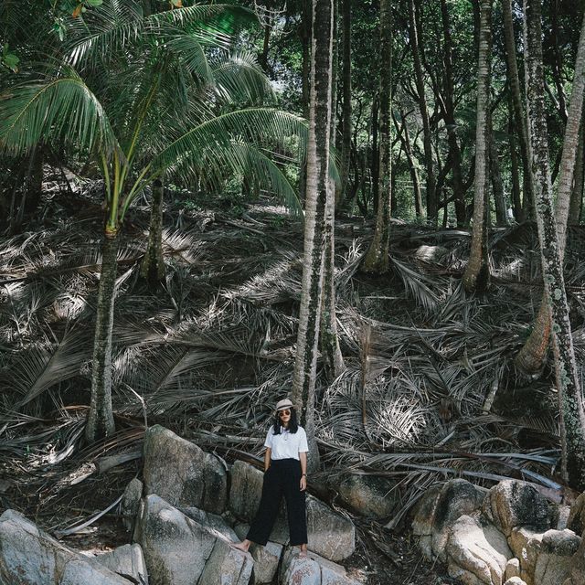 Banana Beach หาดลับ ที่ภูเก็ต