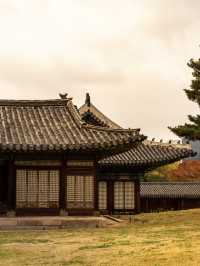 韓國好去處｜感受韓國古蹟的靜謐——昌慶宮